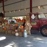 CM Farms Corn Maze photo