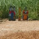 CM Farms Corn Maze photo
