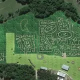 CM Farms Corn Maze photo