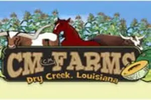 CM Farms Corn Maze