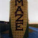 Cajun Country Corn photo