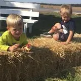 Hagen Family Orchard photo
