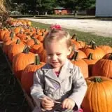 Hagen Family Orchard photo