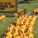 Hagen Family Orchard photo