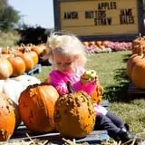 Hagen Family Orchard photo