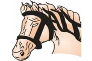 Halter Inc Haunted Trail & Pumpkin Patch