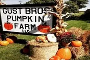 Gust Brothers Pumpkin Farm