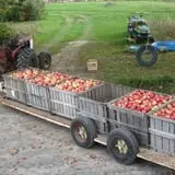 Boothby's Orchard & Farm photo