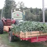 Boothby's Orchard & Farm photo