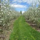 Boothby's Orchard & Farm photo