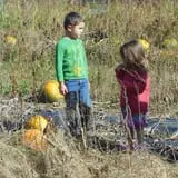 Boothby's Orchard & Farm photo
