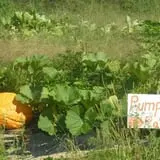 Boothby's Orchard & Farm photo