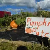 Boothby's Orchard & Farm photo