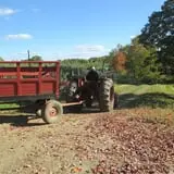 Boothby's Orchard & Farm photo