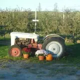 Boothby's Orchard & Farm photo