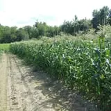 Boothby's Orchard & Farm photo