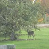 Boothby's Orchard & Farm photo