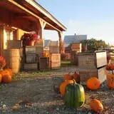 Boothby's Orchard & Farm photo