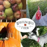 Whistling Well Farm photo