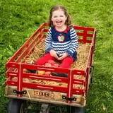 Whistling Well Farm photo