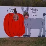 Whistling Well Farm photo