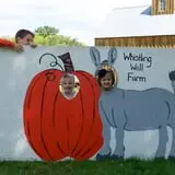 Whistling Well Farm photo