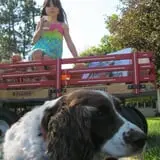 Whistling Well Farm photo
