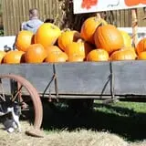 Whistling Well Farm photo
