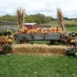 Whistling Well Farm photo