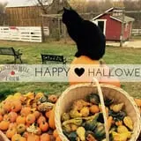 Whistling Well Farm photo