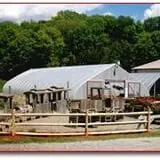 Pumpkin Picking at Sussex County Strawberry Farm photo