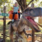 Jurassic  Pumpkin Patch  photo