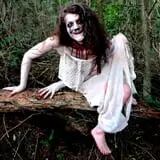 Nightmare at 3008 photo