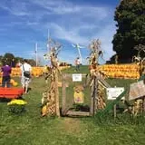 Will's Cackleberry Castle Pumpkin Farm photo