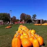 Will's Cackleberry Castle Pumpkin Farm photo