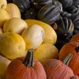 Will's Cackleberry Castle Pumpkin Farm photo