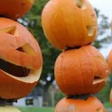 Will's Cackleberry Castle Pumpkin Farm photo