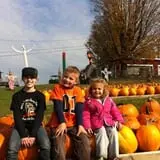 Will's Cackleberry Castle Pumpkin Farm photo