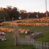 Will's Cackleberry Castle Pumpkin Farm photo