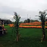 Will's Cackleberry Castle Pumpkin Farm photo