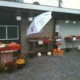 Will's Cackleberry Castle Pumpkin Farm photo