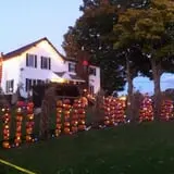 Will's Cackleberry Castle Pumpkin Farm photo