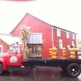Will's Cackleberry Castle Pumpkin Farm photo