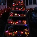 Will's Cackleberry Castle Pumpkin Farm photo