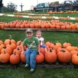 Will's Cackleberry Castle Pumpkin Farm photo