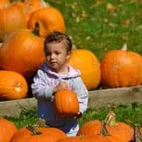 Will's Cackleberry Castle Pumpkin Farm photo