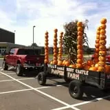Will's Cackleberry Castle Pumpkin Farm photo
