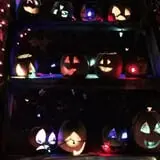 Will's Cackleberry Castle Pumpkin Farm photo