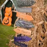 Will's Cackleberry Castle Pumpkin Farm photo