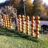 Will's Cackleberry Castle Pumpkin Farm photo